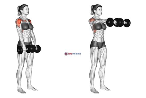 Dumbbell Front Raise Female Home Gym Review