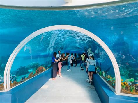 Ocean Park With City Tour Cebu Sweet Escape Holiday