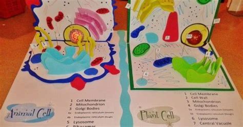 Check spelling or type a new query. animal cell 3d project poster - Google Search | Biology ...