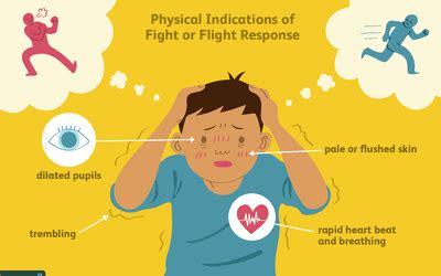 The sympathetic nervous system controls our fight or flight response to a dangerous event, but it is also active at a baseline level in order to. Amygdala Hijack and the Fight or Flight Response