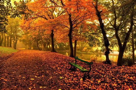 Autumn Park Bench