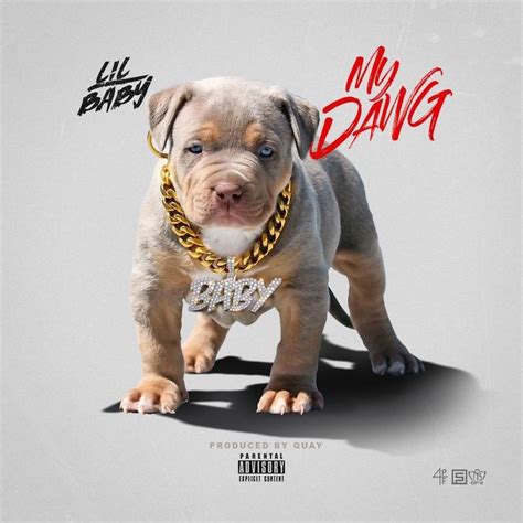 Download Lil Baby My Dawg Mp3 Itunesng