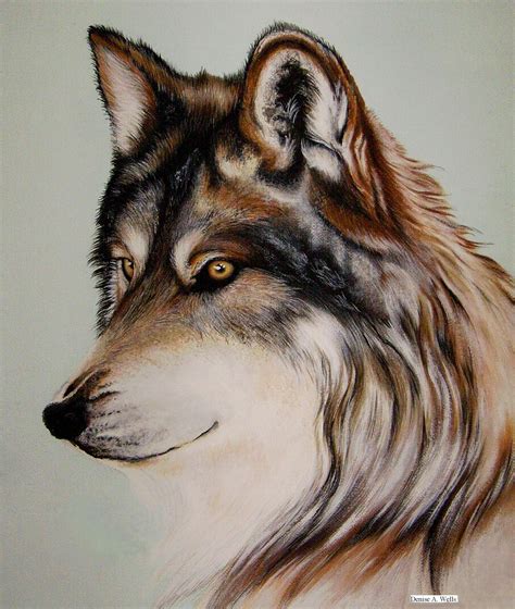 Wolf Stare Acrylic Painting Wolf Painting Wolves
