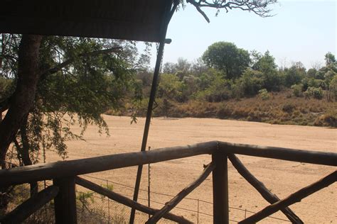 Tamboti Tented Camp In Kruger National Park South Africa Wild Life In