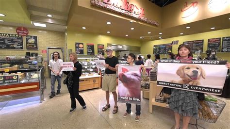 I learned a bit of how supermarkets run, and techniques to boost sales. DxE Miami Protests North Miami Whole foods - YouTube