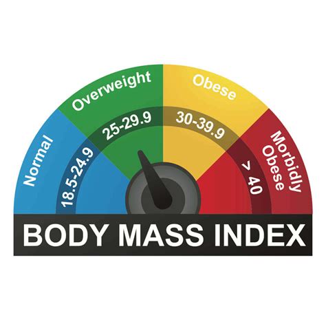 Panduan Lengkap Cara Menghitung Bmi Body Mass Index Borobudur