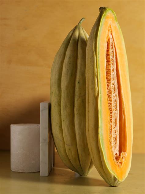 A Look Inside The Melon Detailing 125 Varieties Of Melon Worth