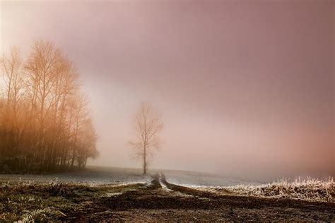 Fog Dawn Landscape Free Photo On Pixabay
