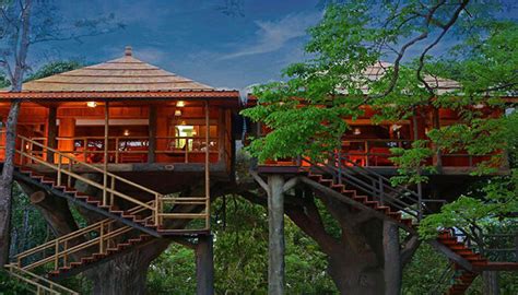 Best Treehouses In Kerala Blogs Travel To India Golden India Travels
