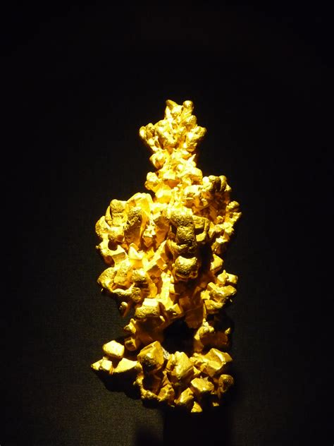 Filelatrobe Gold Nugget Natural History Museum Wikipedia The
