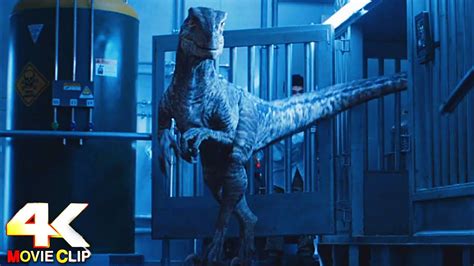 Jurassic World Fallen Kingdom 2018 Velociraptor Scene 4k 60fps Youtube