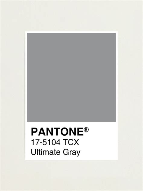 Pantone Ultimate Gray Color Of The Year 2021 Photographic Print By