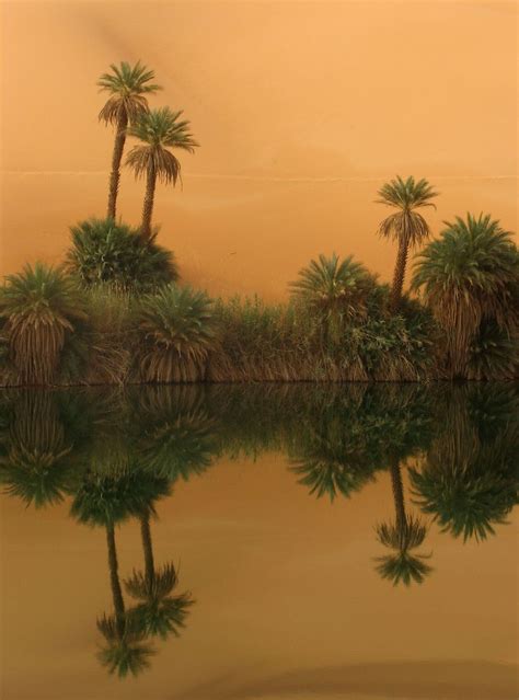 60 Beautiful Examples Of Desert Photography Desert Photography
