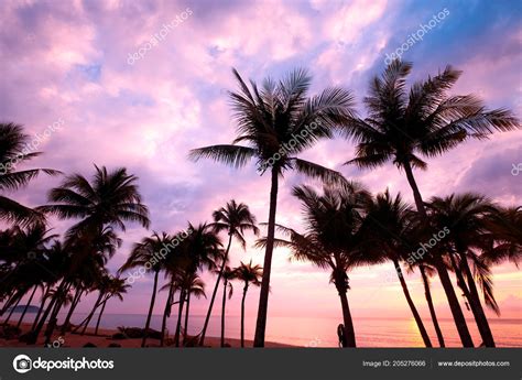 Silhouette Tropical Beach Sunset Twilight Seascape Summer