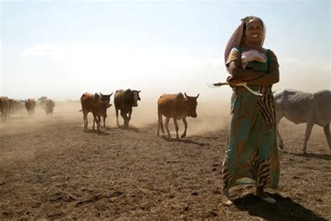 Ethiopia Woredas In Oromia Region Hit By Severe Famine