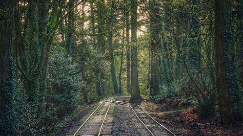 We did not find results for: Train tracks in Portland Oregon (1920x1080) : wallpaper