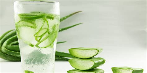 Aloe Water Benefits Go Green With Refreshing Aloe Vera Natural Wire