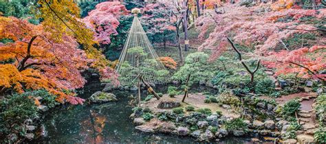 Explore Tokyos Finest Japanese Gardens