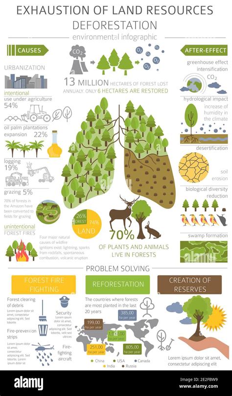 Infografia Deforestacion Mundial Deforestacion Problema Images