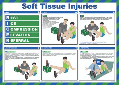Soft Tissue Injuries Poster Preventing And Managing Soft Tissue