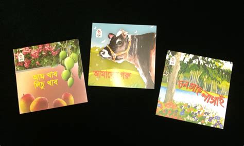 Picture Books From Bangladesh Culture Kit Picture Book Picture Books