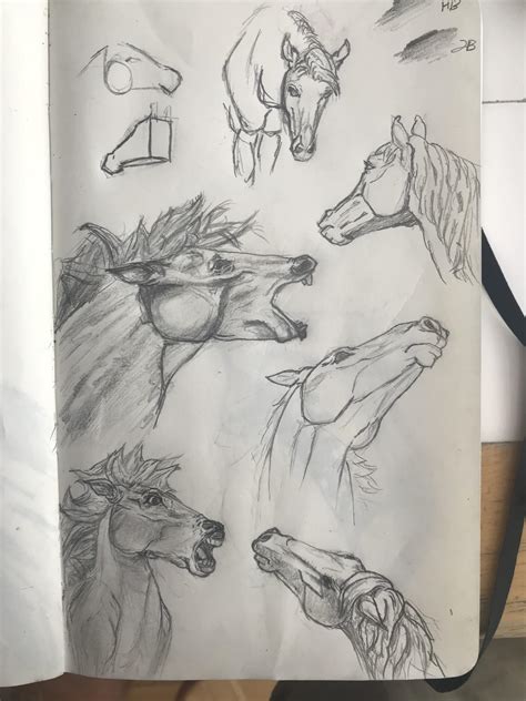 Horses From Aaron Blaises How To Draw Horses Rdrawing