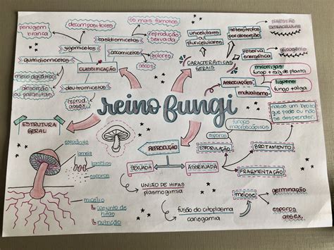 Reino Fungi Mapa Mental