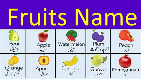 Fruits Names Vocabulary With Urdu Meanings • Testdunya
