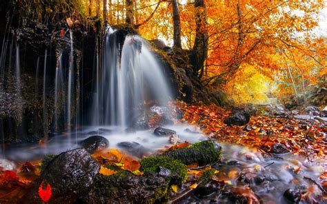Nature Landscape Waterfall Trees Leaves Fall Moss