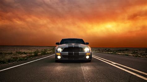 Ford Mustang Shelby Cobra Gt 500 Backiee