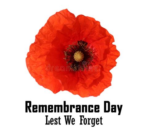 Remembrance Day Card Red Poppy Flower And Text Lest We Forget On White