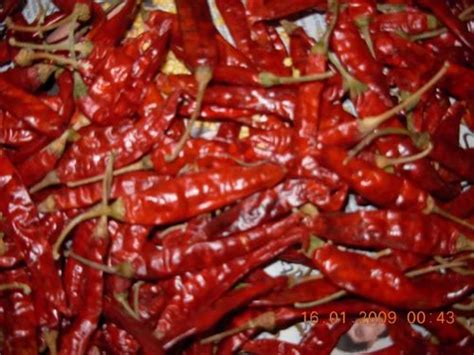 Devenor Deluxe Dd Dry Red Chillie At Rs 65kilogram Dry Red Chili