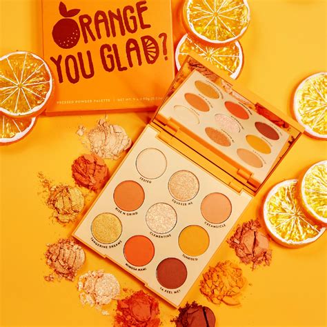 Colourpop Orange You Glad Shadow Palette Review Hialinta