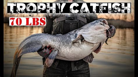 Massive 70 Pound Blue Catfish Fishing The James River Va Youtube