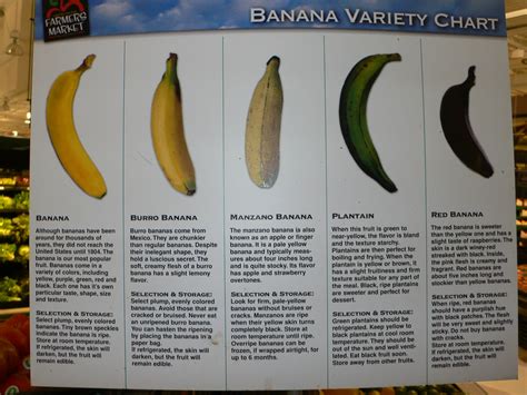 Banana Variety Chart Nelson Pavlosky Flickr