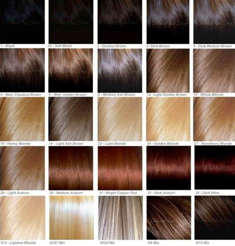 Salon Hair Color Chart Brown Hair Color Chart Aveda Hair Color