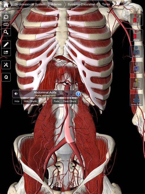 Essential Anatomy App Kopolmouse
