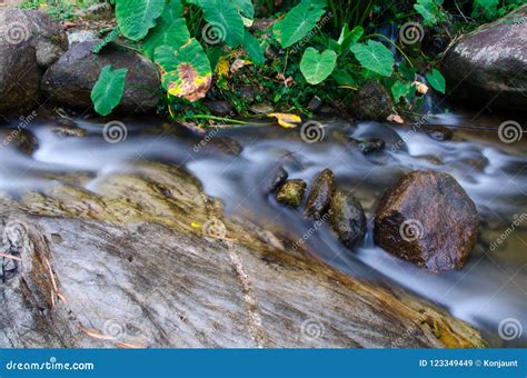 Waterfall With Stone Of Green Moss In Rain Forest Kiriwong Vil Stock