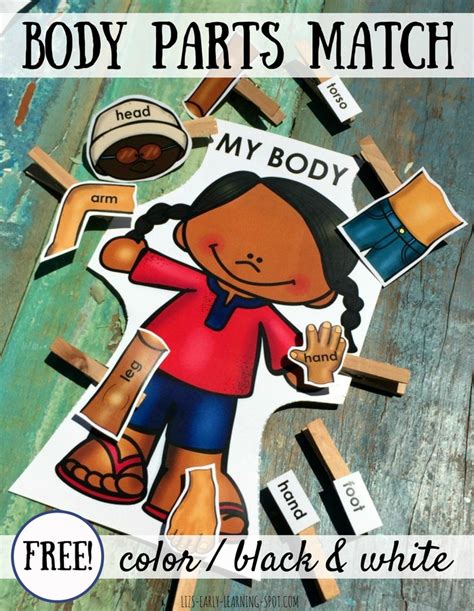 My Body Parts Matching Activity Lizs Early Learning Spot