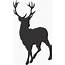 Deer Family Head Black And White Clipart  Clipground