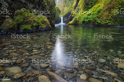 Punch Bowl Falls Stock Photo Download Image Now Columbia River