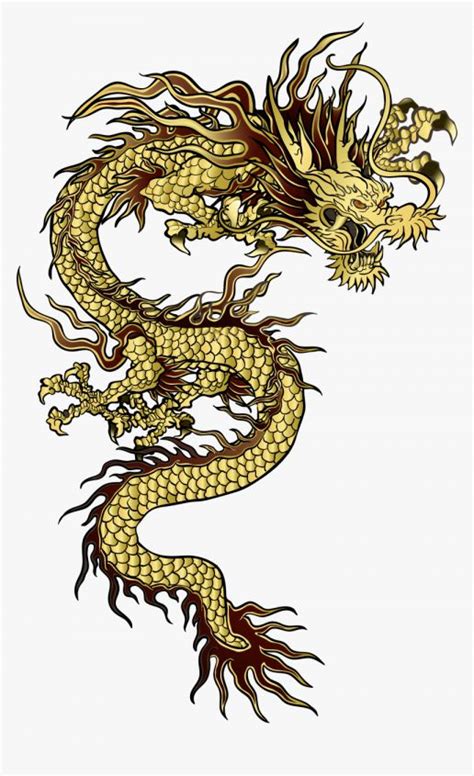10+ Asian Dragon Png in 2020 | Asian dragon, Dragon tattoo design simple, Japanese dragon tattoo