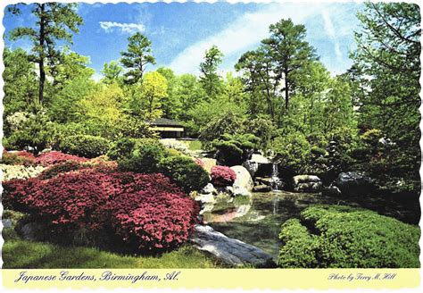 A Look at the History of the Birmingham Botanical Gardens Through ...