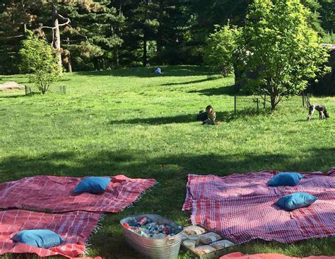 Lakeside Picnic Events In Central Park