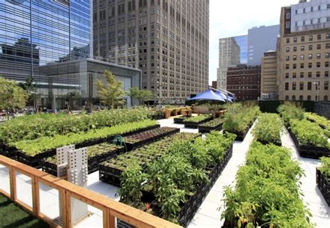 .rooftop garden—roofs collapsing under the weight of soil, water damage caused from leaking plants, etc. Rooftop Gardening Images | Fasci Garden