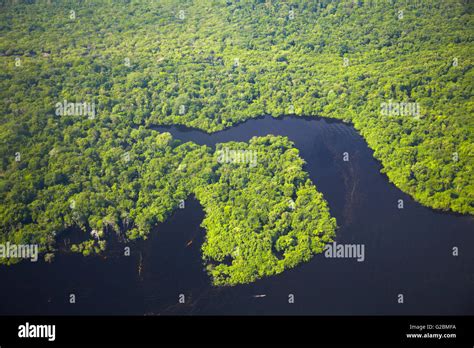 Aerial View Of Amazon Rainforest And Rio Negro Manaus Amazonas