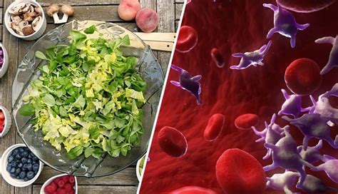 10 Nutrient Rich Foods To Boost Blood Platelet Count