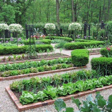 35 Advantageous Small Vegetable Garden Ideas For Your Backyard