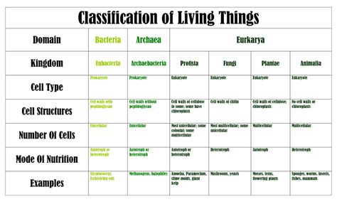 Classification Of Living Things Table