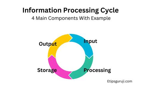 Information Processing Cycle 4 Components With Example